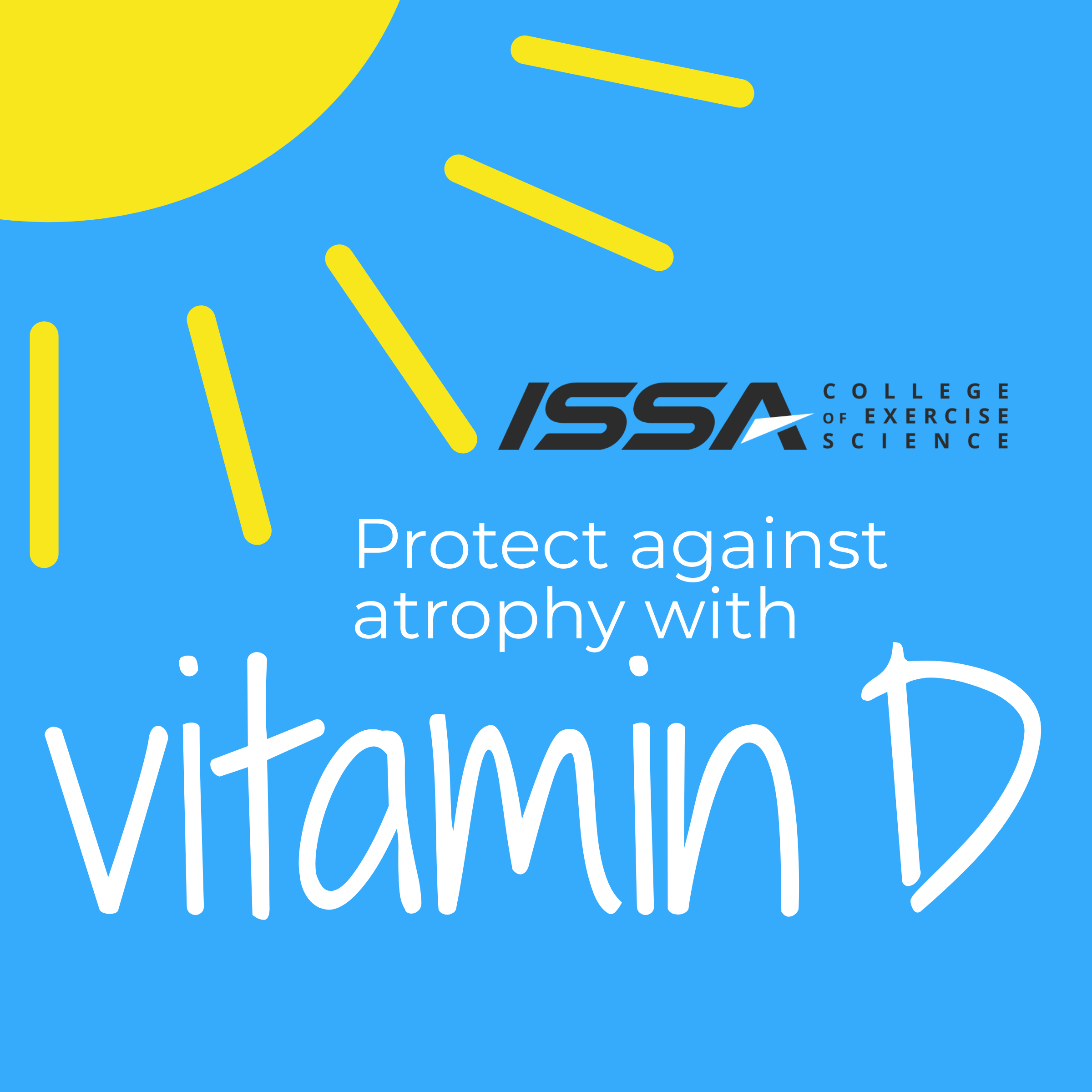 vitamin-d-deficiency-may-contribute-to-the-development-of-muscle-atrophy